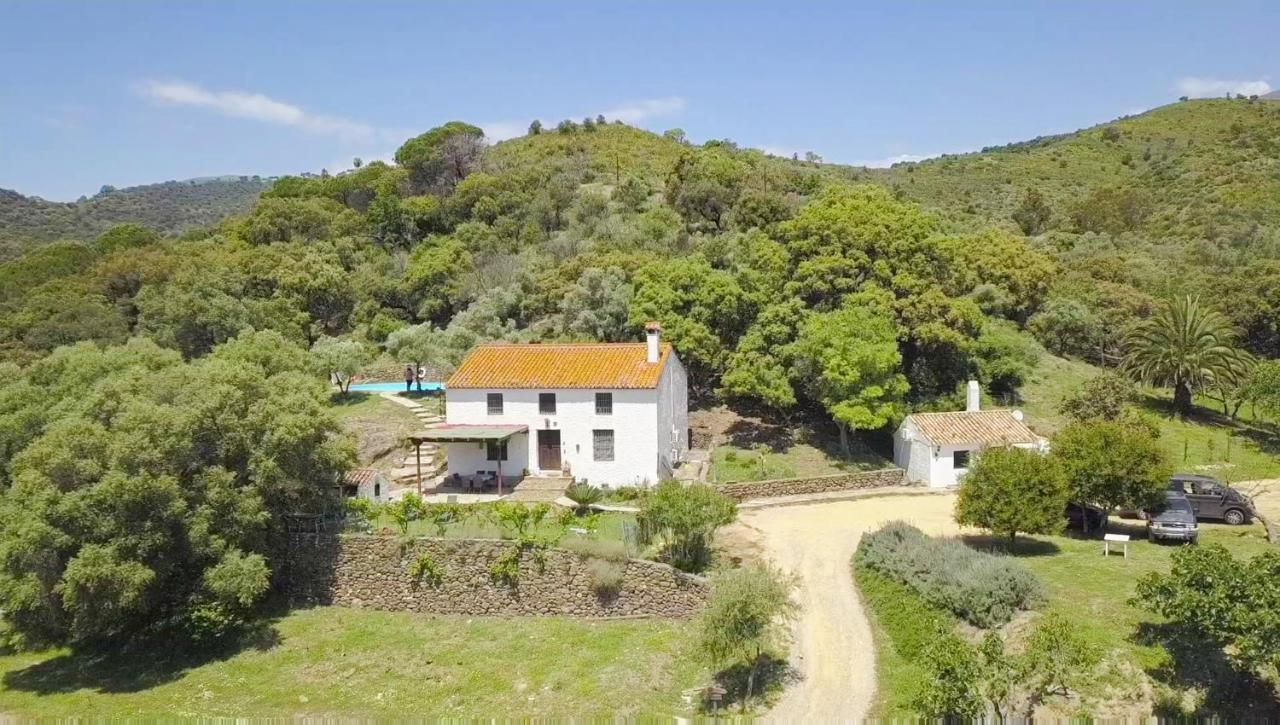 Finca Sta Teresa, Casa Grande Estepona Exterior photo
