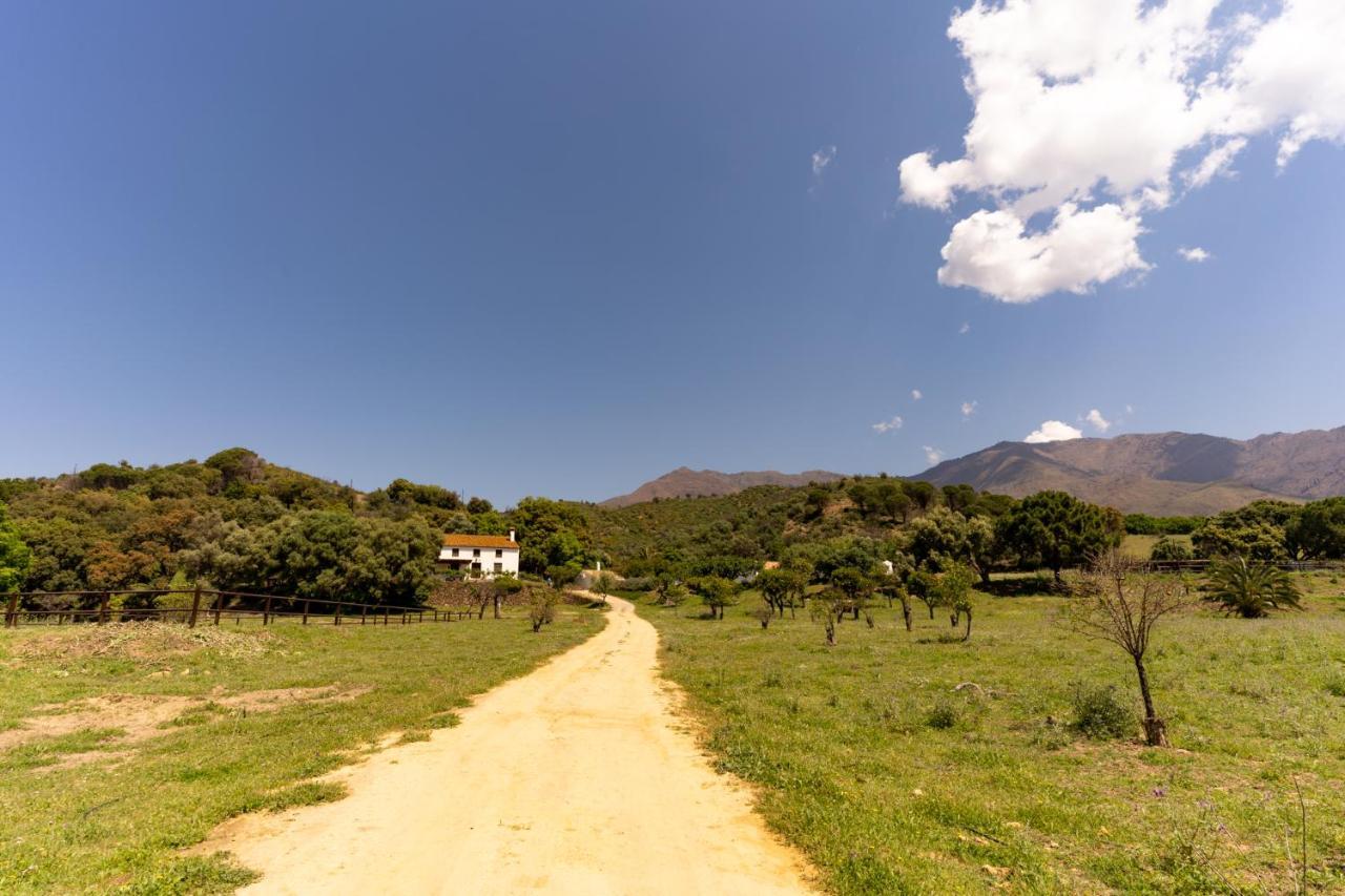 Finca Sta Teresa, Casa Grande Estepona Exterior photo